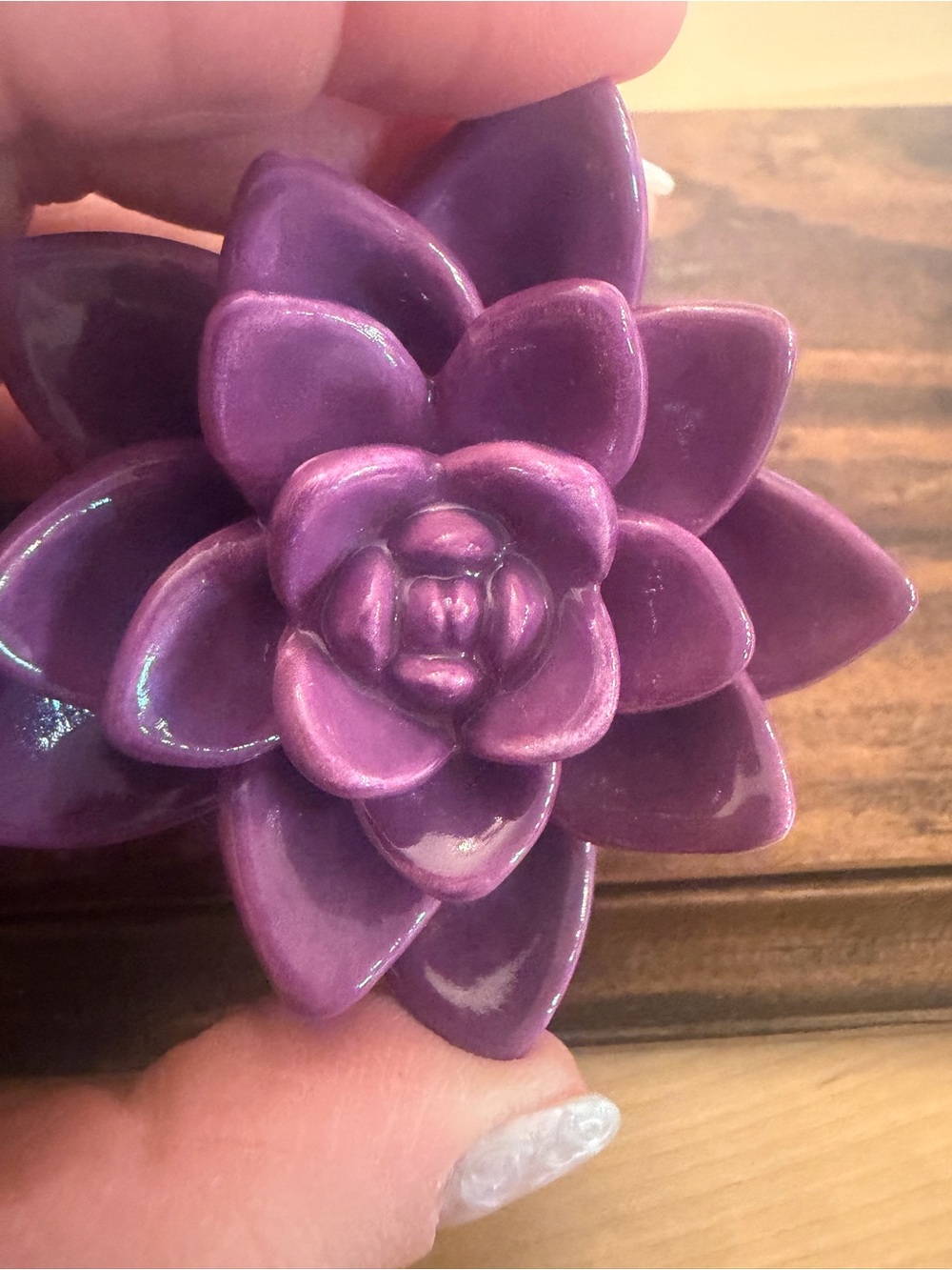 Nora Fleming mini purple succulent - Picture 4 of 4